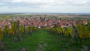 Dentiste urgence Lingolsheim